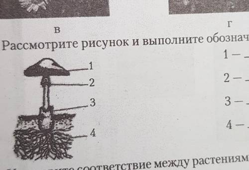 2. Рассмотрите рисунок и выполните обозначения. 1 --122 -с егово Бозотво33 - -44 -—​