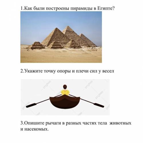 1.Как были построены пирамиды в Египте? 2.Укажите точку опоры и плечи сил у весел 3.Опишите рычаги в