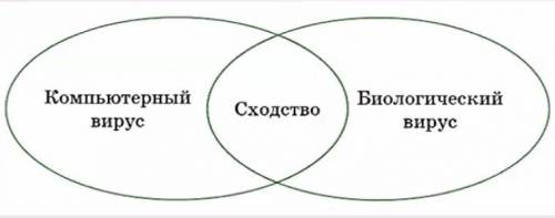 Сравни компьютерный вирус и биологический вирус с диаграммы Венна. Как думаешь, какой вирус опаснее 