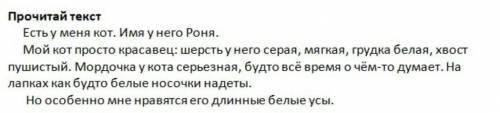 Из каких частей состоит текст о коте.Запиши предложение-зачин.​