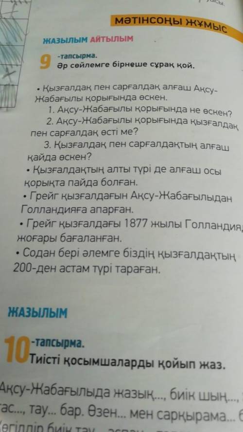 Задайте несколько вопросов для каждого предложения)