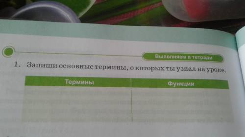 Запиши основные термины и их функции, о которых ты узнал на уроке. .)