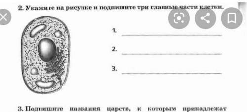 Задание 2 Укажите на рисунке и Подпишите три главные части клеткиможно быстро и правильнл это сор​