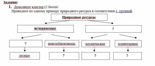 Дополните кластер.( ) Приведите по одному примеру природного ресурса в соответствии с группой.