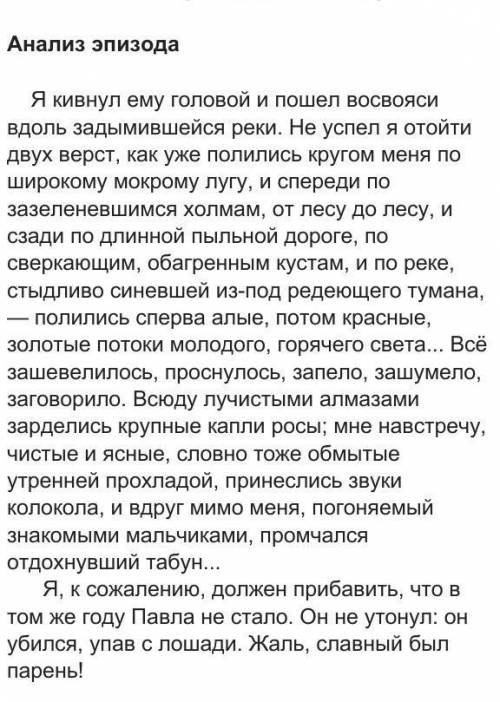 Камила и Карина какие значения вносят в данный текст однородные члены предложения ? бежин луг​