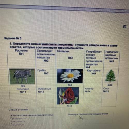 (2) Задание на 1. Определите живые компонем экоситемы и уканите номера имеоно скеме ответов, которые