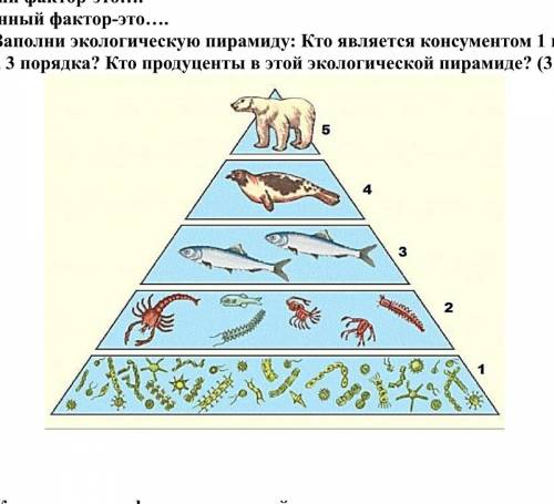 Заполни экологическую пирамиду: Кто является консументом 1 порядка в ней? Кто 2, 3 порядка? Кто прод