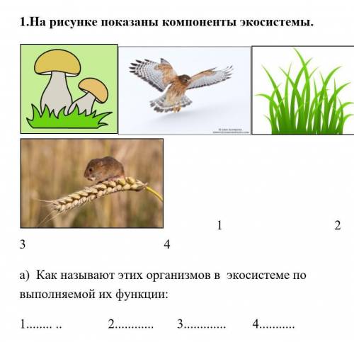 На рисунке показаны компоненты экосистемы. 1                                  2                     