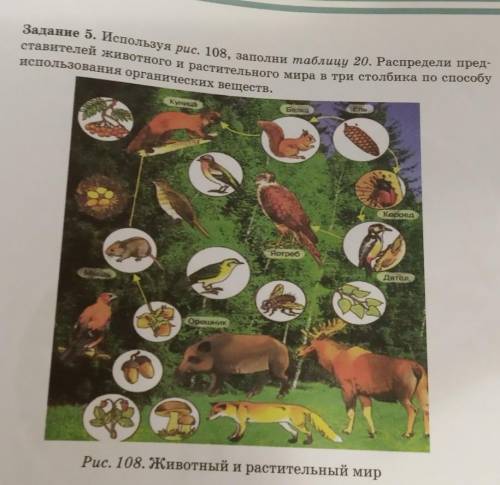 Задание 5. Используя рис. 108, заполни таблицу 20. Распредели пред ставителей животного и растительн
