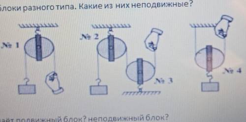 3. На рисунке изображены блоки разного типа. Какие из них неподвижные? А No1 и No2Б. No2 и No3B. No1