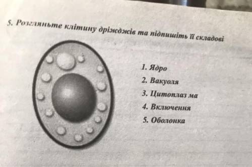 Розгляньте клітину доріжки та підпишіть її складові