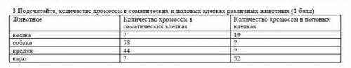 3. Посчитайте, количество хромосом в соматических и половых клетках различных животных. ​