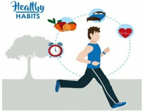 Writing Task 2.  Look at the picture. Write a three- paragraph essay about healthy habits and their 