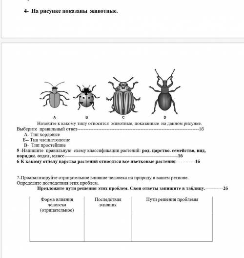 Сор 6класс последние если не успею то два поставят(​