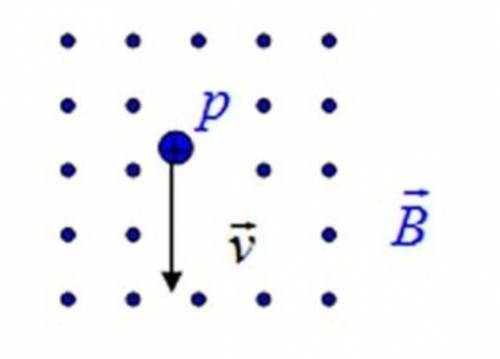 Протон летит в однородном магнитном поле, как показано на рисунке. (i) Какая сила действует на прото