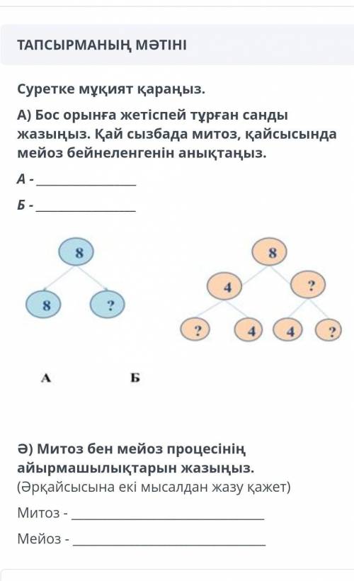 Суретке мұқият қараңыз . A ) Бос орынға жетіспей тұрған санды жазыңыз . Қай сызбада митоз , қайсысын