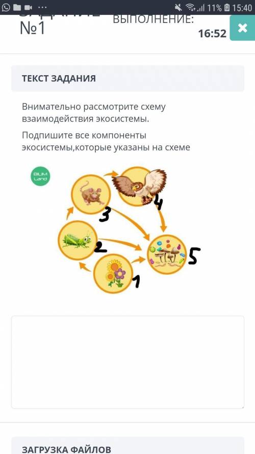 Внимательно рассмотрите схема воздецствия экосистем