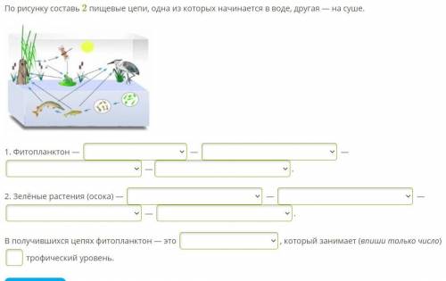 Биология 9 класс. Фитопланктон — варианты ответа: планктоноядная рыба, зоопланктон, зеленые растения