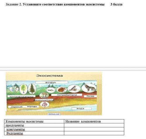 Задание 2. Установите соответствие компонентов экосистемы                                           