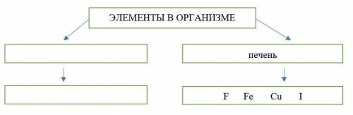 Заполните схему( ) б) Определите химический элемент по его описанию, впишите в таблицу( )Участвует в