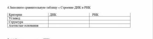 4.Заполните сравнительную таблицу « Строение ДНК и РНК КритерииДНК РНКУглеводСтруктураАзотистые осно