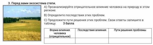 Перед вами экосистема степи. А) Проанализируйте отрицательное влияние человека на природу в этом рег