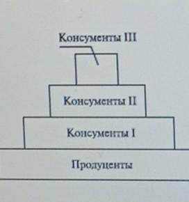 C) Составь экологическуюпирамиду этой экосистемы. Приведи примеры видов живых организмов, относящихс