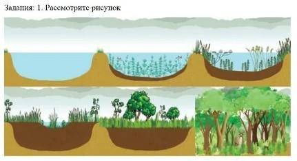 Задания: 1. Рассмотрите рисунок 1. Как называется этот процесс?2. Какие причины повлияли на смену эк