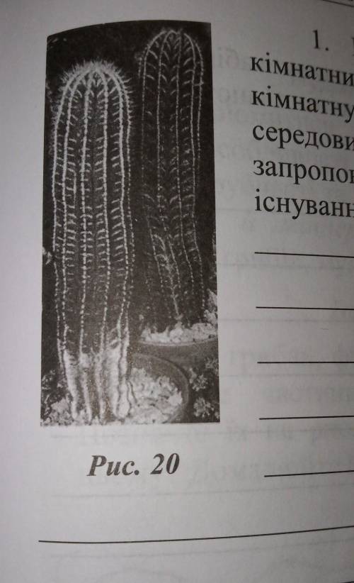 1. Розгляньте рис. 20 або живі зразки кімнатнихрослин, назвіть запропонованукімнатну рослину згрупи 