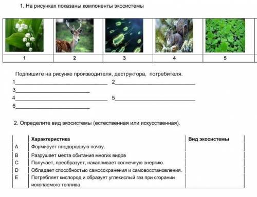 умоляюю не знаете не отвечайте тут два задание можете дать ответ хотябы на один из них просто я вооб