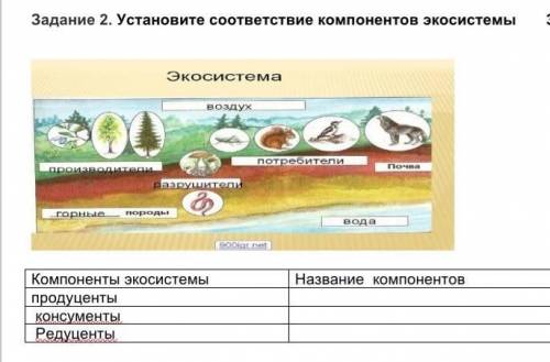 Задание 2. Установите соответствие компонентов экосистемы Компоненты экосистемы продуценты консумент