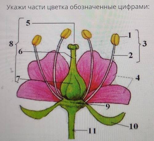 просто у меня сор я не успеваю и ответов нет​