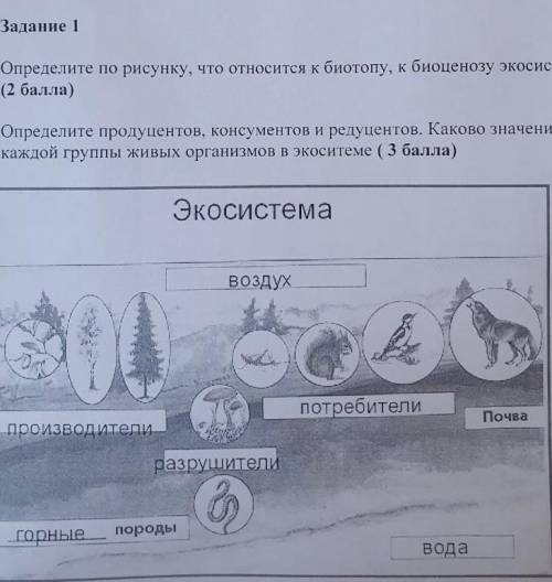 Определите по рисунку, что относится к биотопу, к биоценозу экосистемы ( )Определите продуцентов, ко