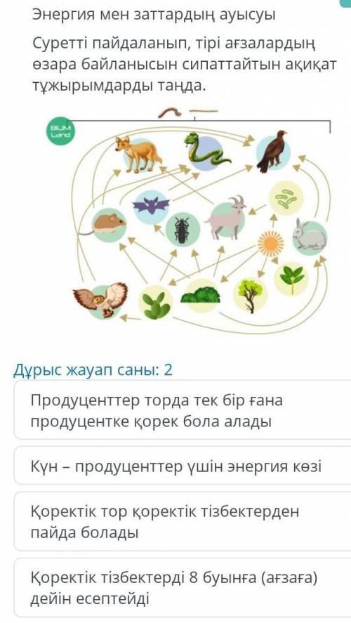 Изменение энергии и веществ с использованием картины, выберите реальные выводы, которые описывают вз