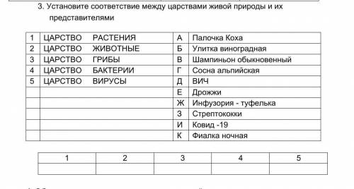 3. Установите соответствие между царствами живой природы и их представителями 1 ЦАРСТВО РАСТЕНИЯ А П