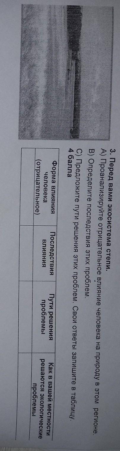 3. Перед вами экосистема степи. A) Проанализируйте отрицательное влияние человека на природу в этом 