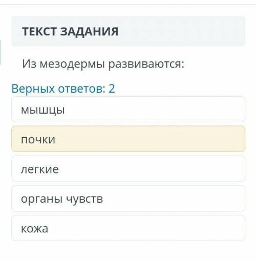 Какой второй правильный ?(точно не органы чувств)​