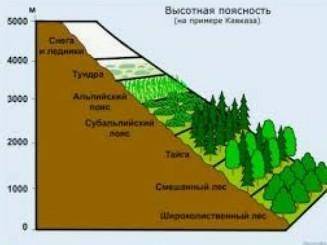 , найдите рисунок природных зон, заранее благодарю)​