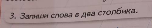 3. Запиши слова в два столбика.​