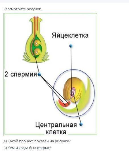 (высеры по типу Даосьдыжчьсдзцдстсдчд хахахаххахах за бесплатные  я буду банить)​