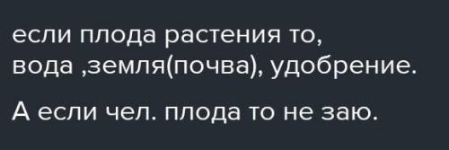 Від яких чинників залежить нормальний розвиток плоду