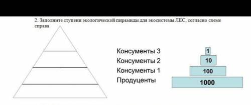 с сором по естествознанием 2 непонимаю​