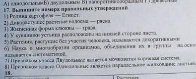 Выпишите номера правильных утверждений 1)родина картошки-египет​