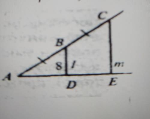 За даними рисунка знайдіть DE, якщо прямі l та т паралельні, АЕ більше за DE на 8 см а)8смб)16смв)4с