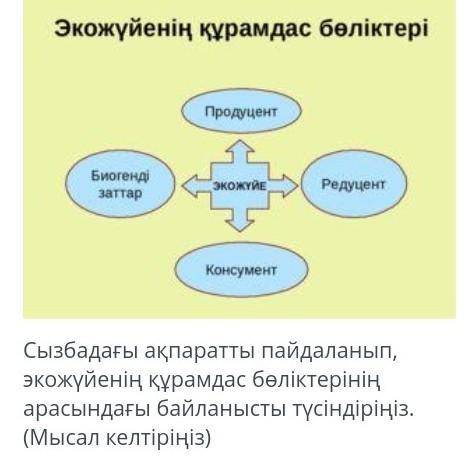 Жаратылыстану көмектесіңдерші​