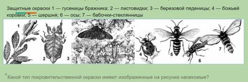 с биологией. Какой тип покровительственной окраски имеют изображенные на рисунке насекомые