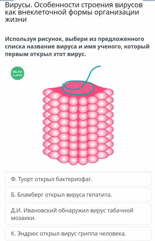 Вирусы. Особенности строения вирусов как внеклеточной формы организации жизниИспользуя рисунок, выбе