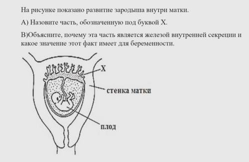 Нужна с заданием, но лишь с объяснением почему эта часть(плацента) является железой внутренней секре