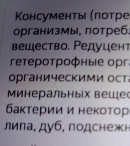 Гетеротрофные организмы подразделяют на потребителей (консументов) производителей (продуцентов) разр