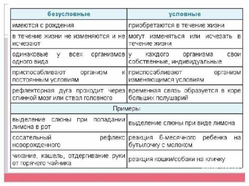 1. Какие рефлексы называют условными? 2. Существует ли связь между условными и безусловными рефлекса